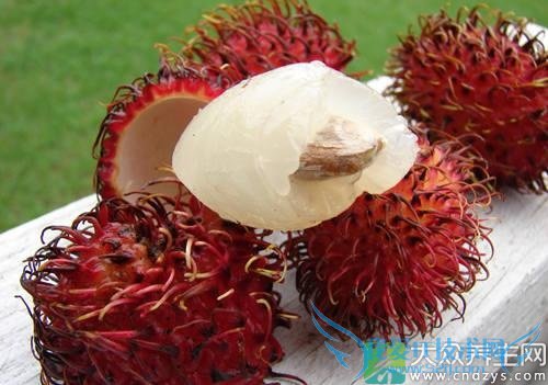 �����ܳԺ�ë����