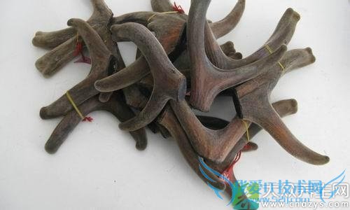 �����ܳ�¹����