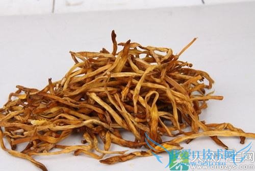 �������ܳԸɻƻ���