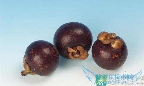 �������ܳ�ɽ����