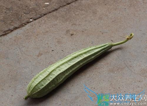 �и���˿����ʲô�ô�