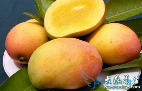 �¾��ڿ��Գ�â����