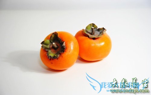 �����ܳ�������  