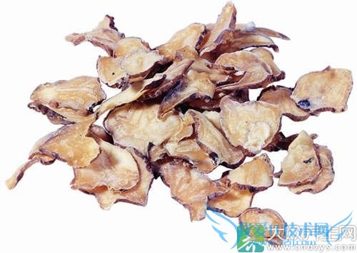 �и��ܳԸ�����