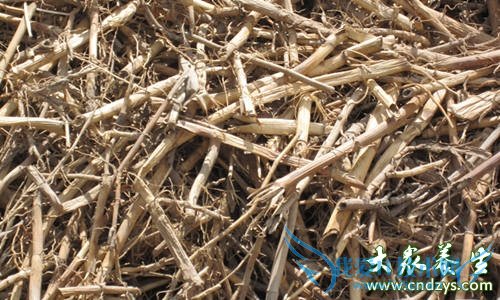 �и��ܳ�«����