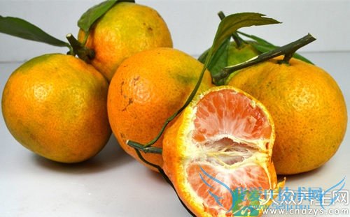 Ƥ�������ܳԽ�����  