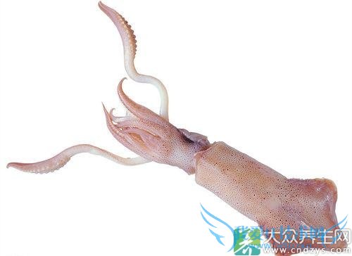 Ƥ�������ܳ�������