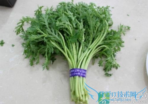 �и��ܳ�«����