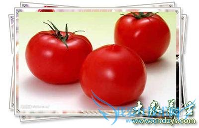 ���󿹰��ߴ�ʳ����������迴����(2)