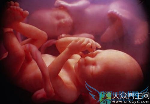  ��������ƾ�������ô��