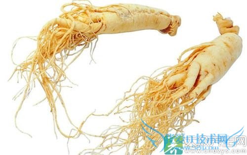 Ů����ʮҪ��ʼ���� ������������ʮ������(9)