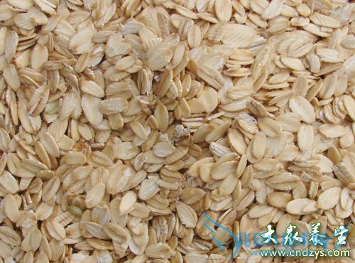 ����ʳ���ͷ���źǻ����˽���(2)