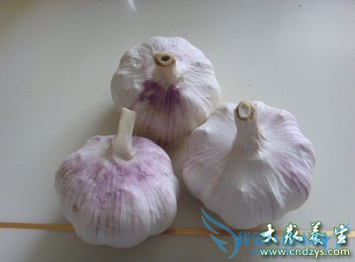 ����ʳ���ͷ���źǻ����˽���(5)