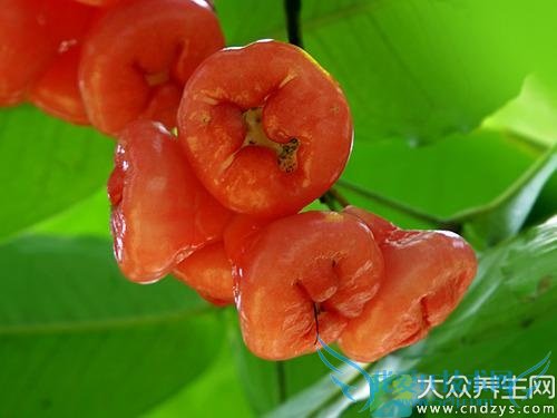 �и��ܳ�������