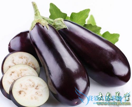 ���ѳ���˥�������ʳ��(4)