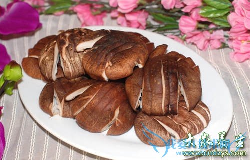 ���ѳ���˥�������ʳ��(7)