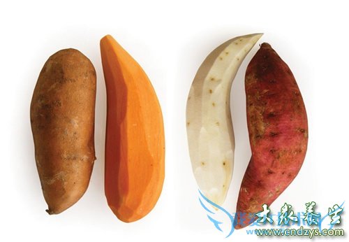 ���ѳ���˥�������ʳ��(1)