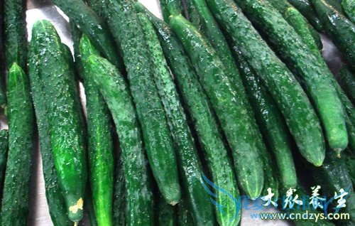 ���ѳ���˥�������ʳ��(3)