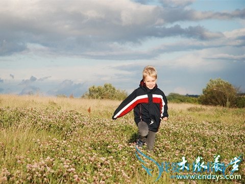 ���ڶ�ͯ�����˺��߷�����Ϊ�ж�(6)