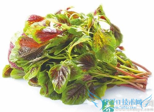 �����ܳ��Ȳ���