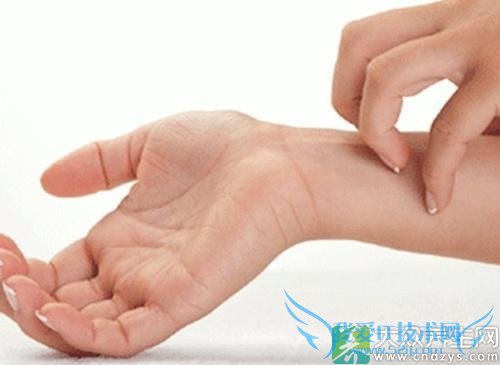 �����������Ԥ��