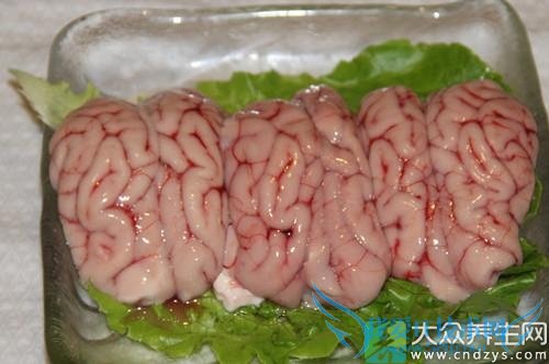 �����ܳ�������