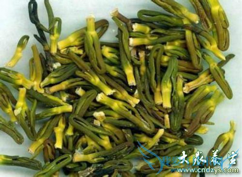 �и���ʲô��Ѫѹ