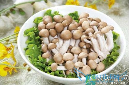 ��Ѫѹ�ܳ�зζ����