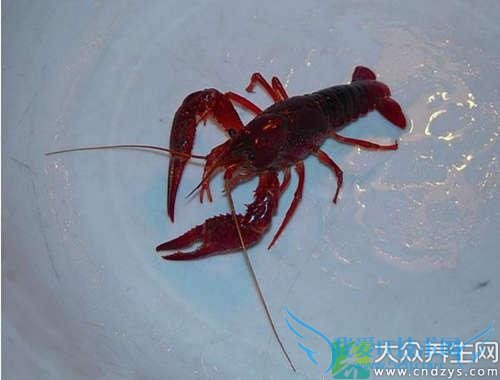 �и��ܳ���Ϻ��