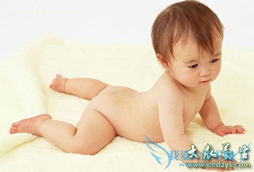 Ӥ��������˯����������