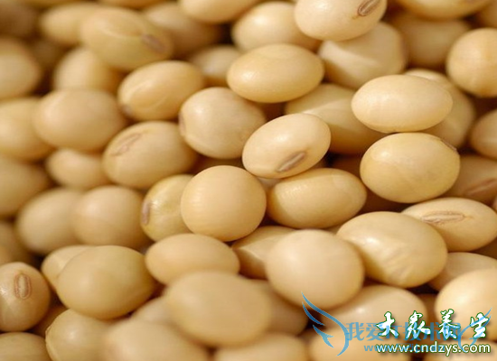 �����ճ������ر�ʳ��(4)