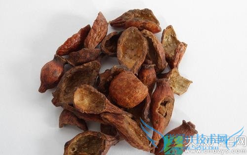 �����ܳԽ�ӣ����