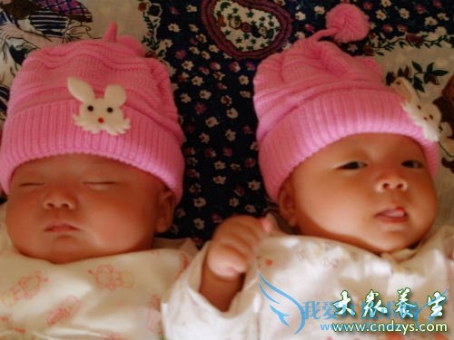 �����µı������