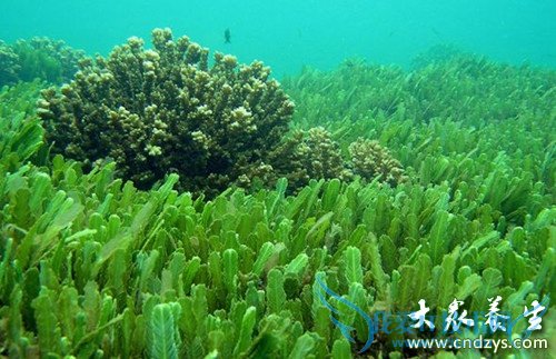 �̵�������˵�׳������(3)