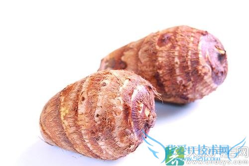 ��Ѫѹ�ܳ���ͷ��