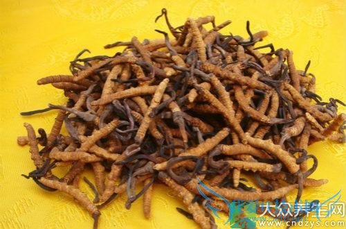 �����ܳԶ����Ĳ���