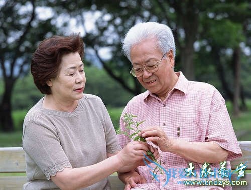 ���������֢��֢״