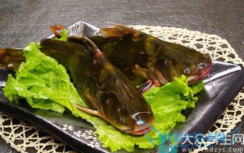 �������ܳԻ������