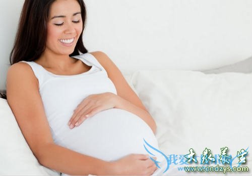 ����ƾ�����