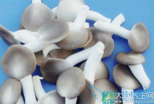 ��Ѫѹ�ܳ����乽��