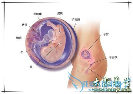 ̥�����ڷ����ٻ�����ϼ�飬��ôԤ���������أ�(1)