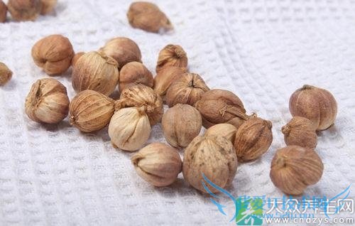 �����ܳԶ�ޢ��