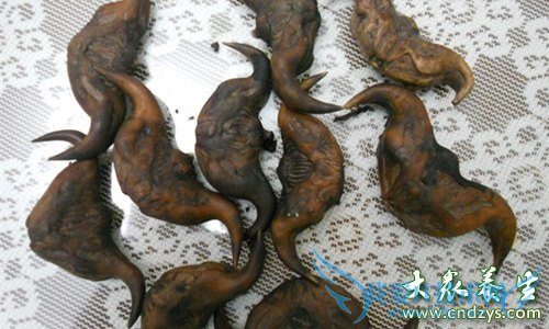 �������ܳ������