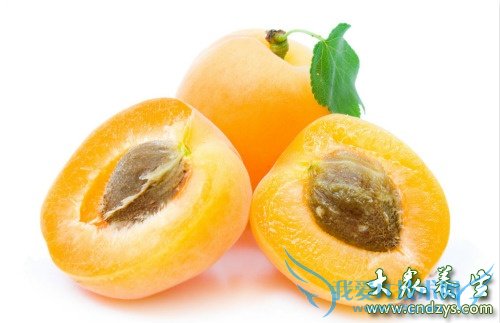 �и����Գ����˸���