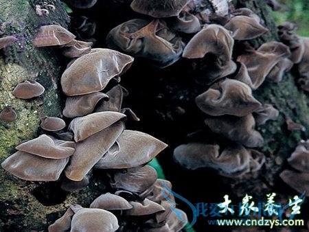 ��ľ�������Խ���������11��ô�(3)