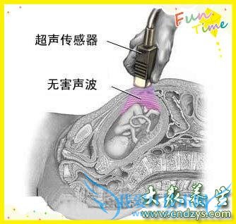 ����B�����ע������ ��ҽ��С��ʿ(2)