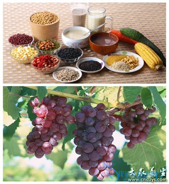 �����Ŷ����յ�ʮ����ʳ��(1)