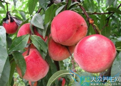 ��ð���Գ�ˮ������