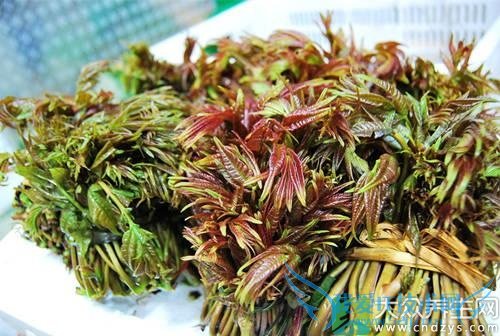 ��Ѫѹ�ܳ��㴻��