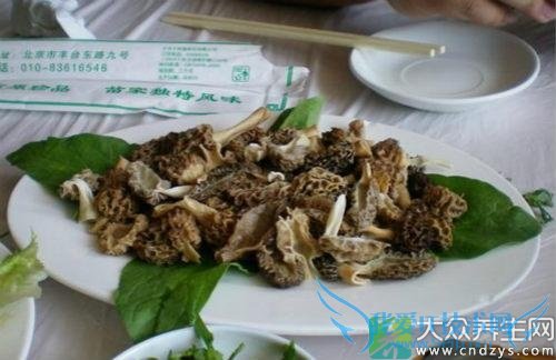 �и��ܳ�ţ�Ǿ���